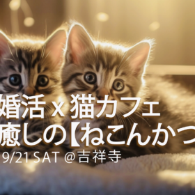 婚活X猫カフェ＿イベント参加者募集