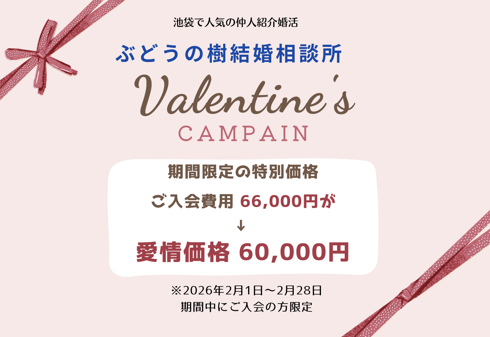 バレンタインキャンペーン期間限定の特別価格